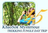 Khaosok Mysterious by JC Tour