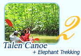 Canoeing and Elephant Trekking by JC Tour