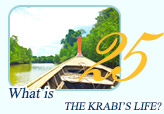 Krabi Life Package by JC Tour