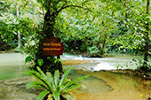 3 Caves Canoe Safari Temple Nature Stream
