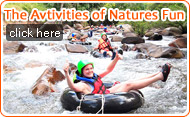 The Activities of Natures Fun