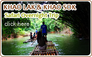 Khaolak and Khaosok Safari Overnight Trip