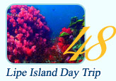 Lipe Island Day Trip
