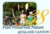 Pure Preserved Nature at Thalen Bay